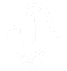Solar Water Pumps